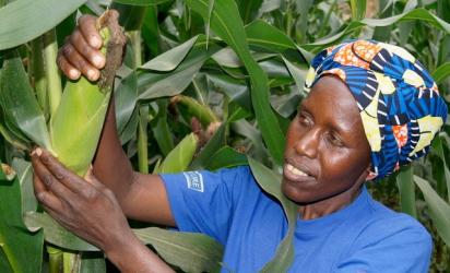 woman collecting produce